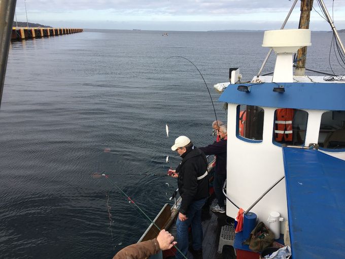 Fisketur den 23. oktober 2019.