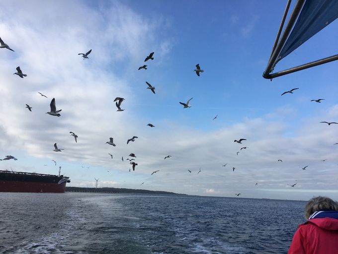 Fisketur den 23. oktober 2119